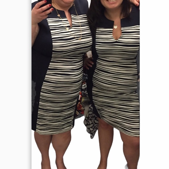 Dressbarn 14W scuba knit navy and white dress - Picture 7 of 7